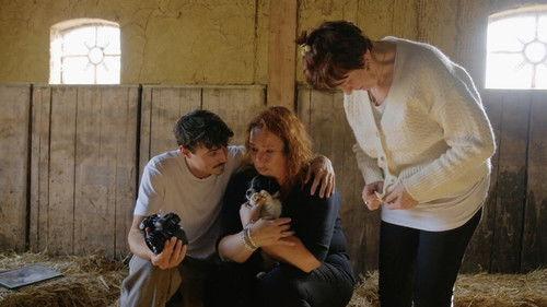 Het Perfecte Plaatje Season 8 Episode 8 - Episode 8