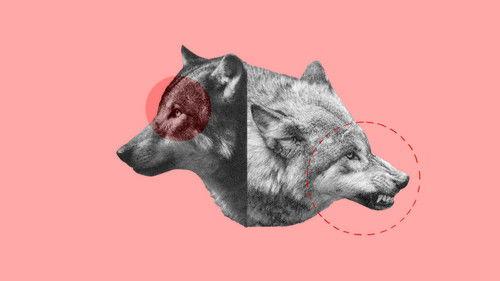 Argos TV - Medialogic Season 11 Episode 8 - Episode 8