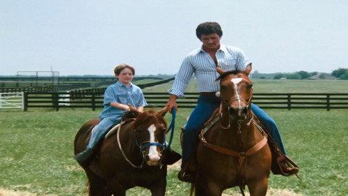 Dallas Season 11 Episode 6 - Tough Love