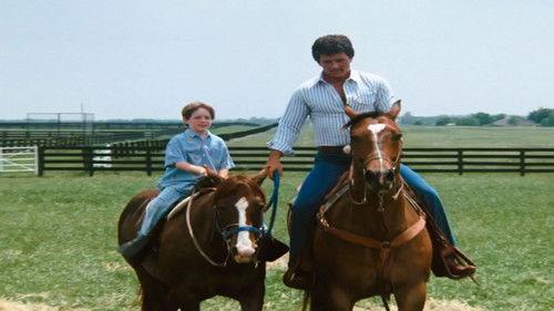 Dallas Season 11 Episode 6 - Tough Love