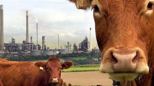 Natural World Season 28 Episode 14 - A Farm for the Future