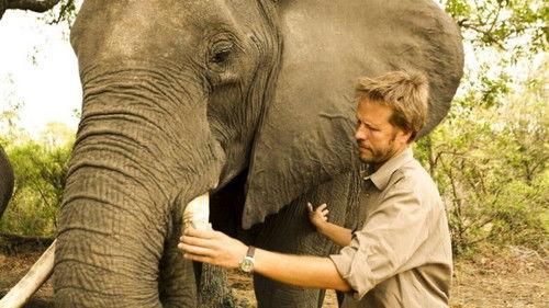 Science grand format Season 1 Episode 5 - Episode 5