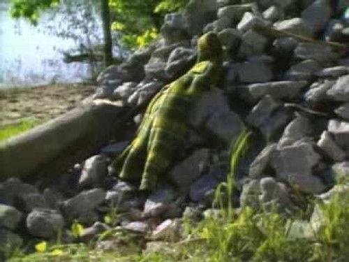 The Littlest Hobo Season 3 Episode 5 - Suspect