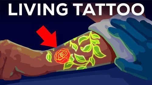 Kurzgesagt - In a Nutshell Season 11 Episode 20 - Your Tattoo is INSIDE Your Immune System. Literally