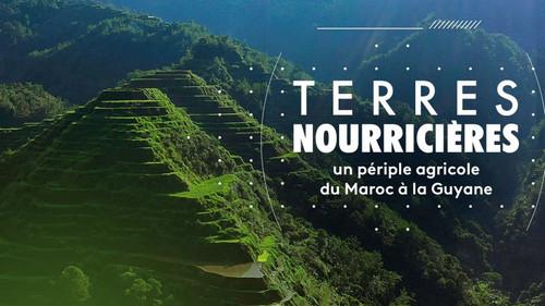 Science grand format Season 4 Episode 25 - Episode 25