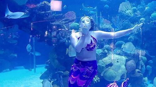 Tanked Season 1 Episode 1 - Brett Takes a Dive