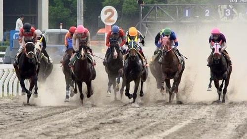 Document 72 Hours Season 4 Episode 13 - Dreams Bloom at Kochi Racecourse
