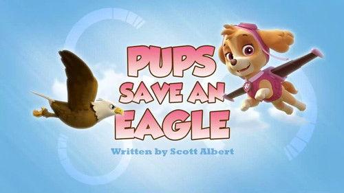 undefined Season 2 Episode 45 - Pups Save an Eagle