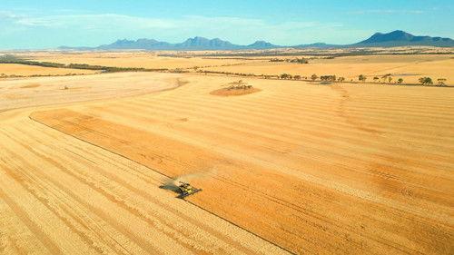 Tech Now Season 2 Episode 2 - Future Farming in Australia