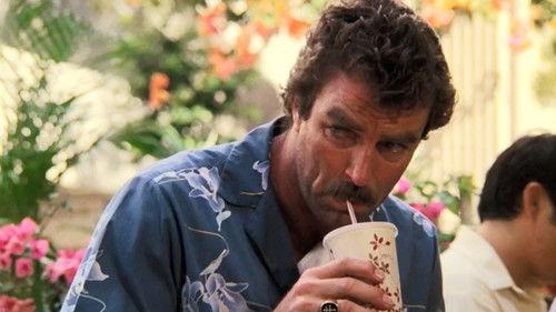 undefined Season 6 Episode 17 - Way of the Stalking Horse