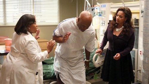 Grey's Anatomy Season 10 Episode 5 - I Bet It Stung