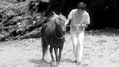 Poly Season 3 Episode 10 - Episode 10