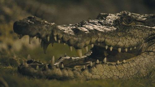 007: Road to a Million Season 1 Episode 6 - EPISODE SIX