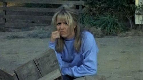 Mayberry R.F.D. Season 3 Episode 16 - Millie's Egg Farm