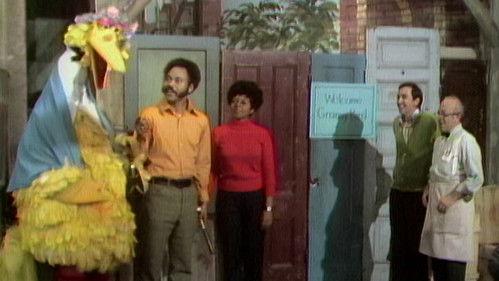 Sesame Street Season 1 Episode 30 - Granny Bird Visits (0030)