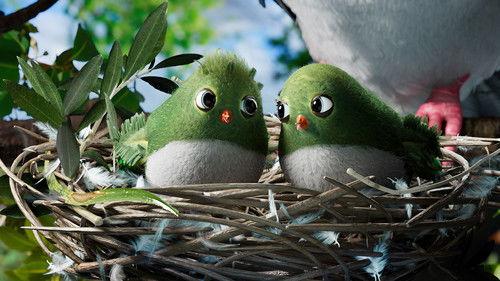 Bird's Eye View Season 2 Episode 4 - Neighbours At War