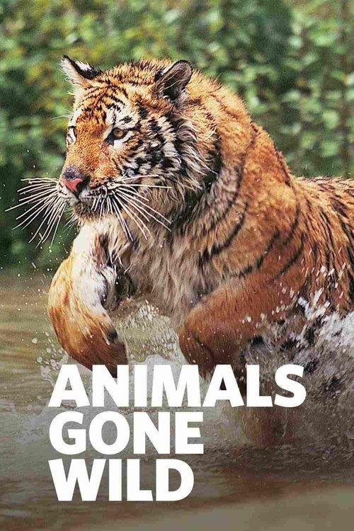 Animals Gone Wild poster