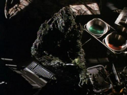 Swamp Thing Season 1 Episode 17 - Walk a Mile in My Shoots