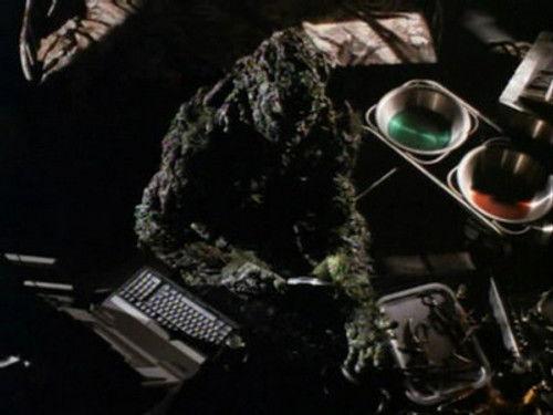 Swamp Thing Season 1 Episode 17 - Walk a Mile in My Shoots