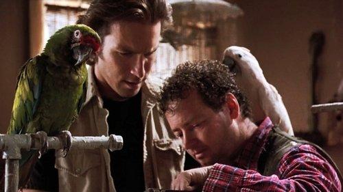 Background image for Nothing's Perfect