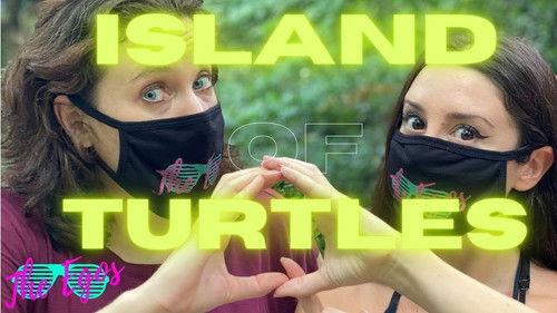 Background image for Island of Turtles