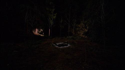 Background image for The Path to the Black Lodge