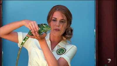 Beauty and the Geek Australia Season 5 Episode 6 - Episode 6