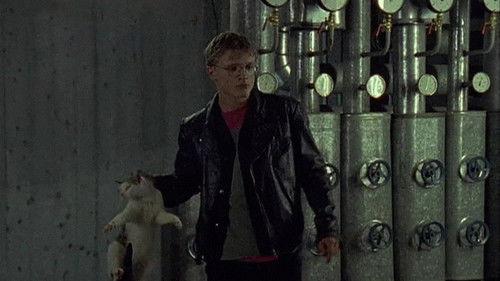 Unser Lehrer Doktor Specht Season 4 Episode 4 - Episode 4