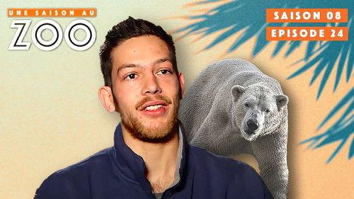 Une saison au zoo Season 8 Episode 24 - Episode 24