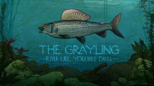 Mortimer & Whitehouse: Gone Fishing Season 2 Episode 6 - The Grayling: River Ure, Yorkshire Dales