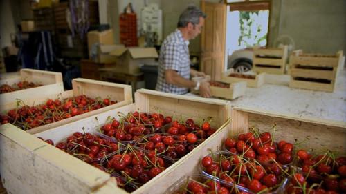 Le Doc du dimanche Season 11 Episode 13 - Episode 13