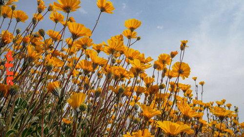 America's Wild Seasons Season 1 Episode 1 - Spring