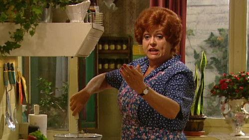 De Kotmadam Season 12 Episode 6 - Papegaai