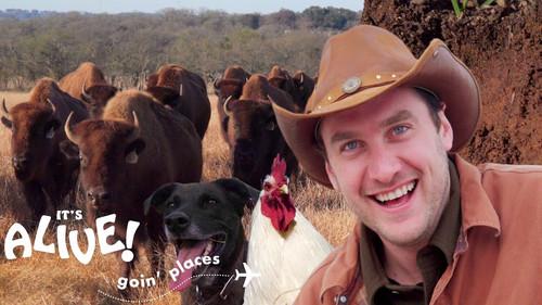 It's Alive: Goin' Places Season 1 Episode 1 - Brad Goes Ranching in Texas
