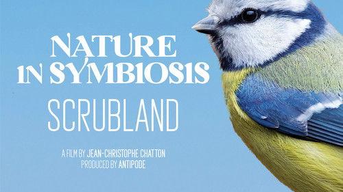 Associations de bienfaiteurs Season 1 Episode 3 - Episode 3