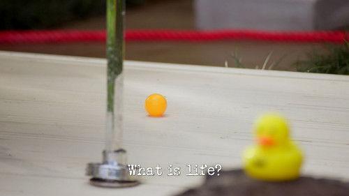 Background image for What Is Life?