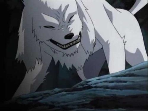 undefined Season 4 Episode 184 - Kiba's Long Day!