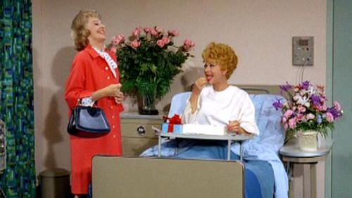 The Lucy Show Season 6 Episode 12 - Lucy Sues Mooney