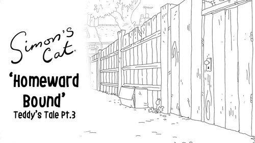 Simon's Cat Season 15 Episode 5 - Teddy's Tale (3): Homeward Bound
