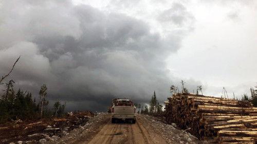 Vie de chantier Season 1 Episode 2 - Episode 2