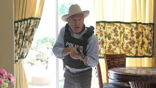 The Bridge Season 2 Episode 9 - Rakshasa