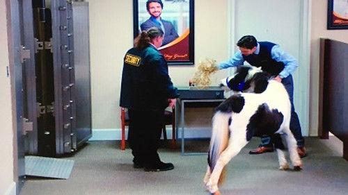 The Carbonaro Effect Season 2 Episode 17 - The Framing Canon