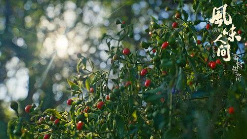 Once Upon a Bite Season 5 Episode 5 - Maze of Fruits