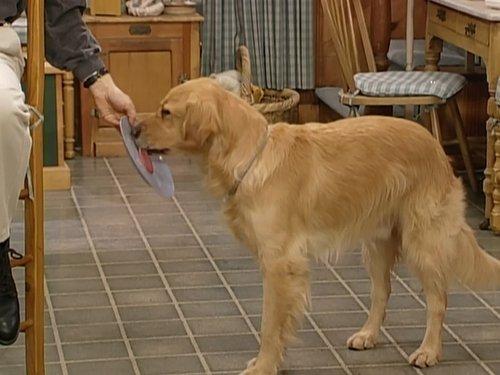 Full House Season 6 Episode 18 - Please Don't Touch the Dinosaur