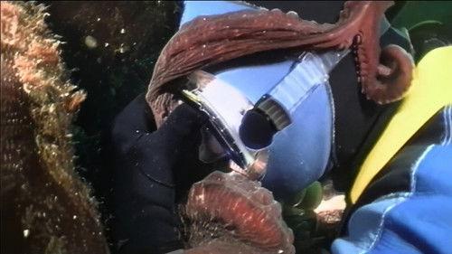 World's Most Amazing Videos Season 1 Episode 8 - Unstoppable Danger