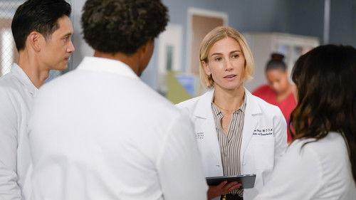 Grey's Anatomy Season 22 Episode 11 - (If You Want It) Do It Yourself