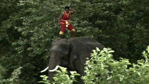 Ancient Discoveries Season 6 Episode 8 - Ancient Special Forces