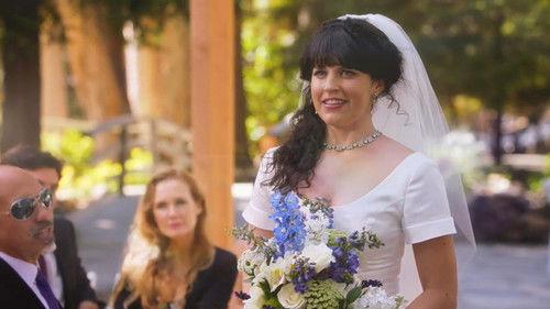 Background image for Adam Ruins Weddings