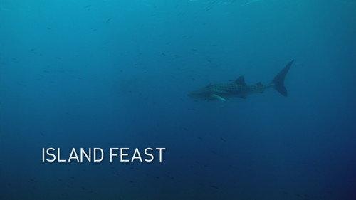 Arabian Seas Season 1 Episode 3 - Island Feast
