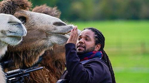 Animal Park Season 21 Episode 3 - Christmas 2022: Episode 3